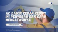 thqAC20Kedap20Kedip