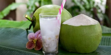 Resep-Es-Kelapa-Muda-Panduan-Lengkap
