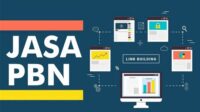 thqjasa20backlink20pbn