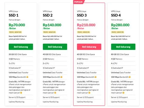 vps-indonesia-paket-lengkap-Lengkap-Panduan