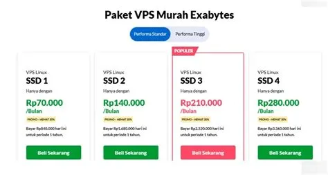 vps-indonesia-untuk-startup-Pilih-Anda