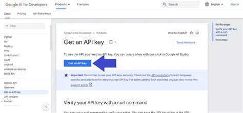 Panduan-Membuat-Gemini-API-Key-untuk-AI-Automation-Panduan-Lengkap