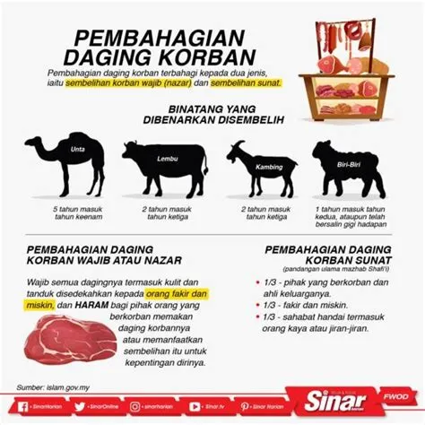 cara-membungkus-daging-kurban-Panduan-Lengkap