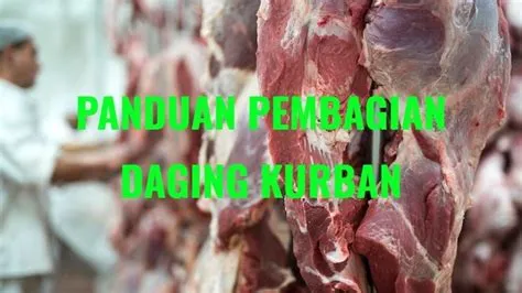 daging-kurban-idul-adha-Panduan-Lengkap