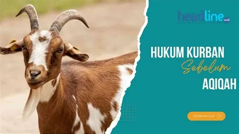 hukum-kurban-Hukum-Kurban