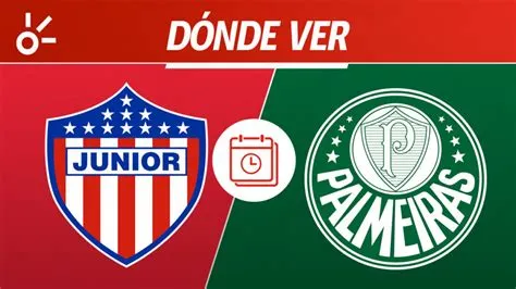 palmeiras-vs-junior-Palmeiras-Junior