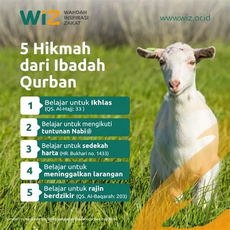 tema-qurban-Hikmah-dan