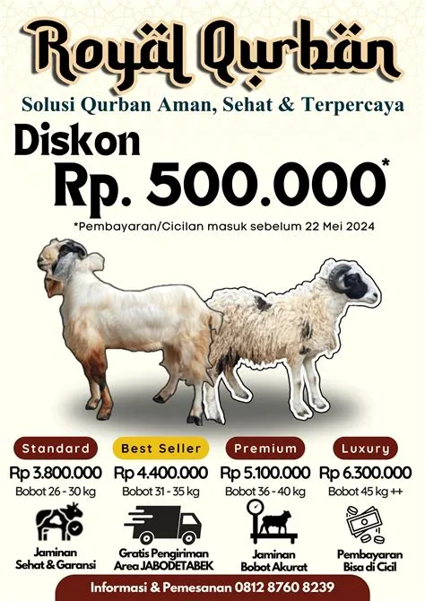 tempat-qurban-terpercaya-Temukan-Tempat