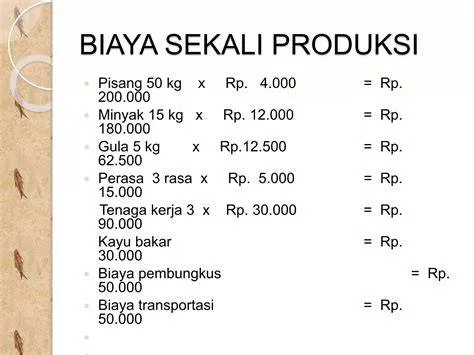 biaya-produksi-kripik-pisang-lumer-Analisis-Biaya